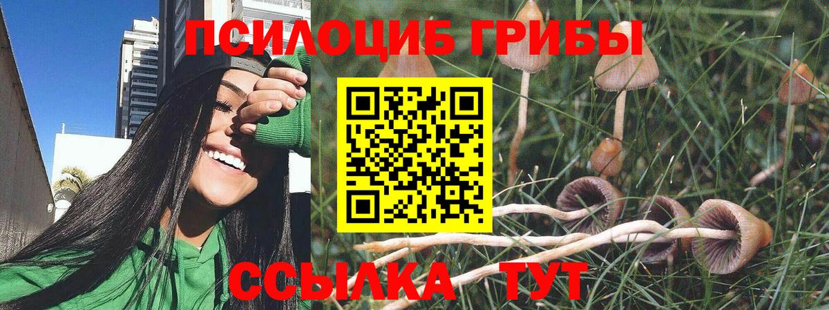 Галлюциногенные грибы мицелий Лыткарино